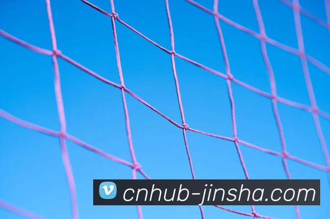 澳门金沙官网APP 高清赛事图